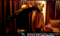 혼자있는 암캐 따먹는 도둑 13분15초