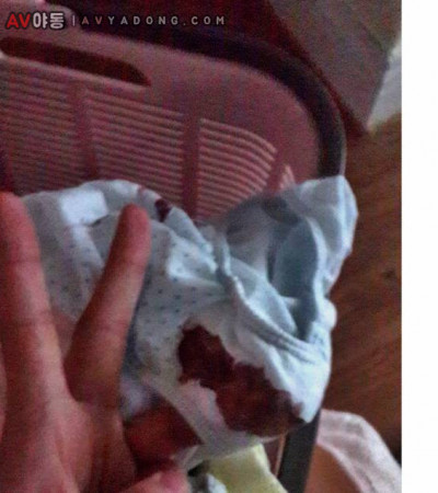 아는 누나 생리대 인증 2탄 생리묻은 팬티인증